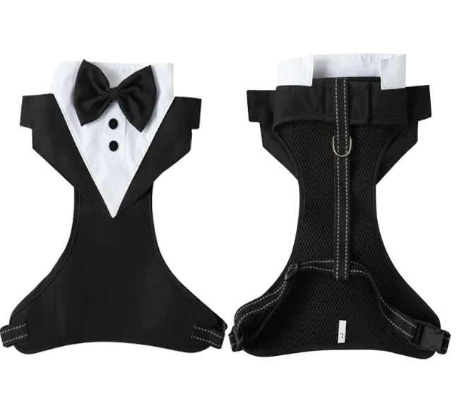 Escape-Proof Pet Safety Harness Set