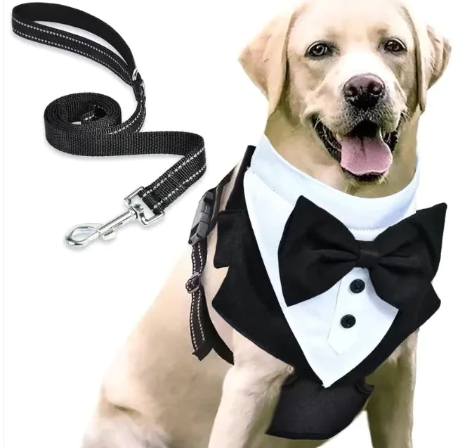 Escape-Proof Pet Safety Harness Set