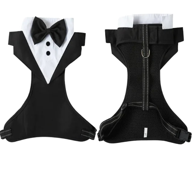 Escape-Proof Pet Safety Harness Set
