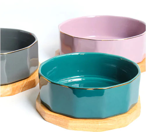 Ceramic Non-Slip Cat Bowl for Pets