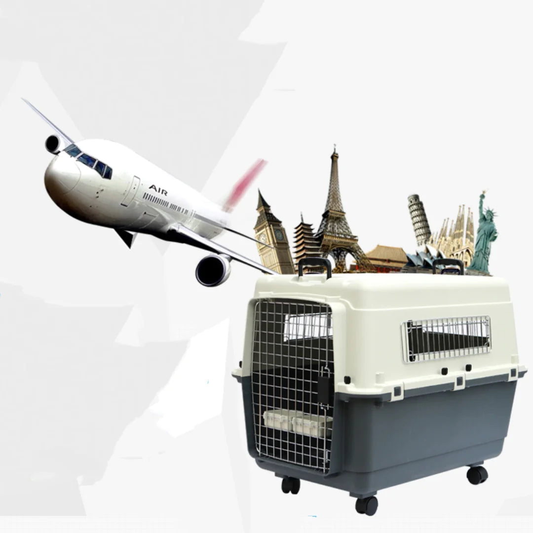 Airline-Approved Pet Carrier