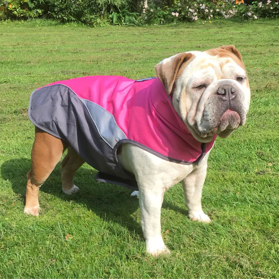 Weatherproof Pet Adventure Coat