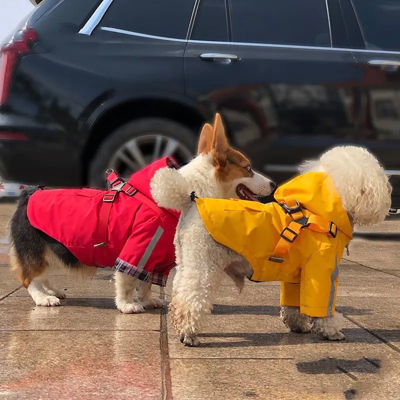 Reflective PU Pet Raincoat with Chest and Back Integration