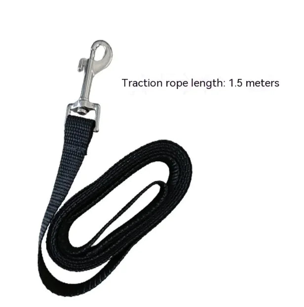 Escape-Proof Pet Safety Harness Set
