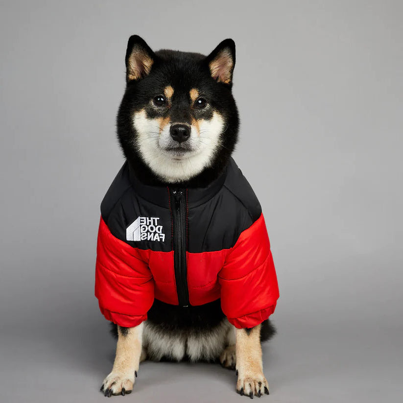 Fashion Warm Raincoat Dog Pet Padded Jacket