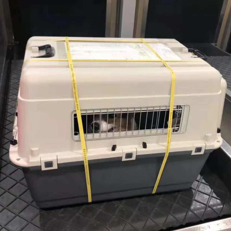 Airline-Approved Pet Carrier