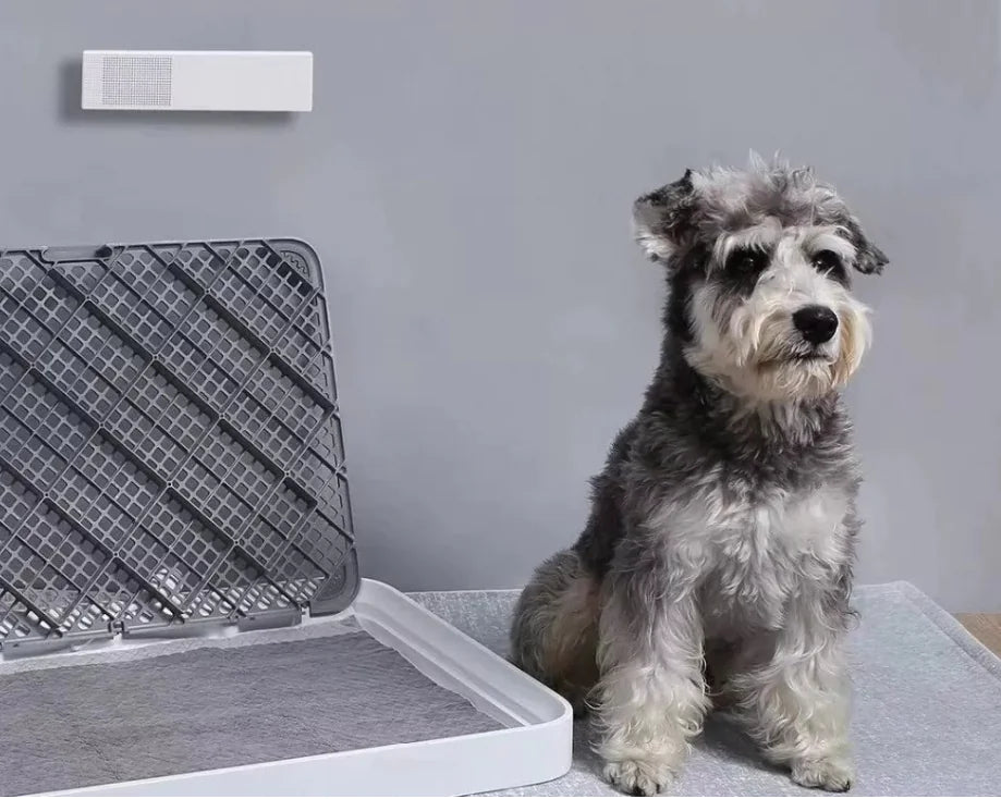 Advanced Pet Odor Purifier