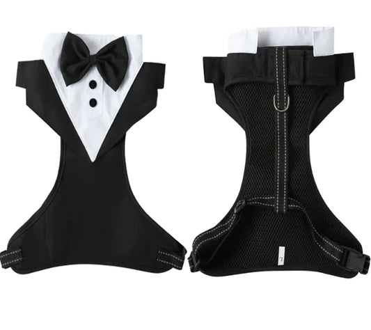 Escape-Proof Pet Safety Harness Set