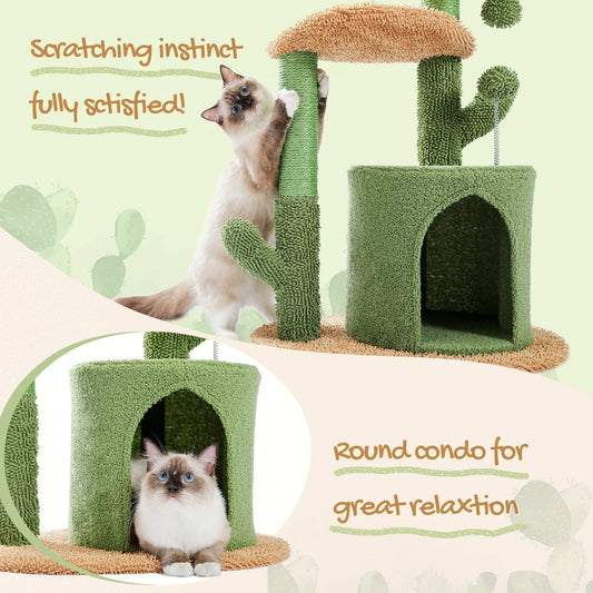 32-Inch Cactus Cat Climbing Frame